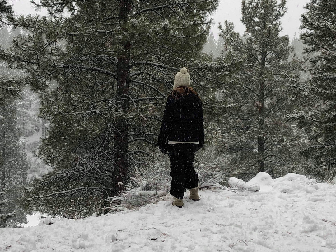 WorldMark Bend - Seventh Mountain Resort主图