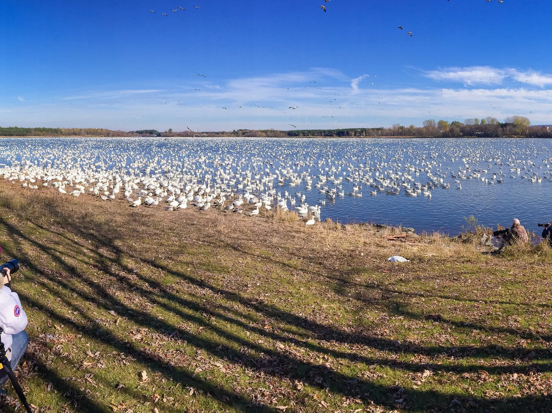Réservoir Beaudet-Victoriaville必去景点