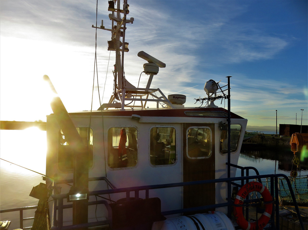 Burntisland Harbour-Burntisland必去景点
