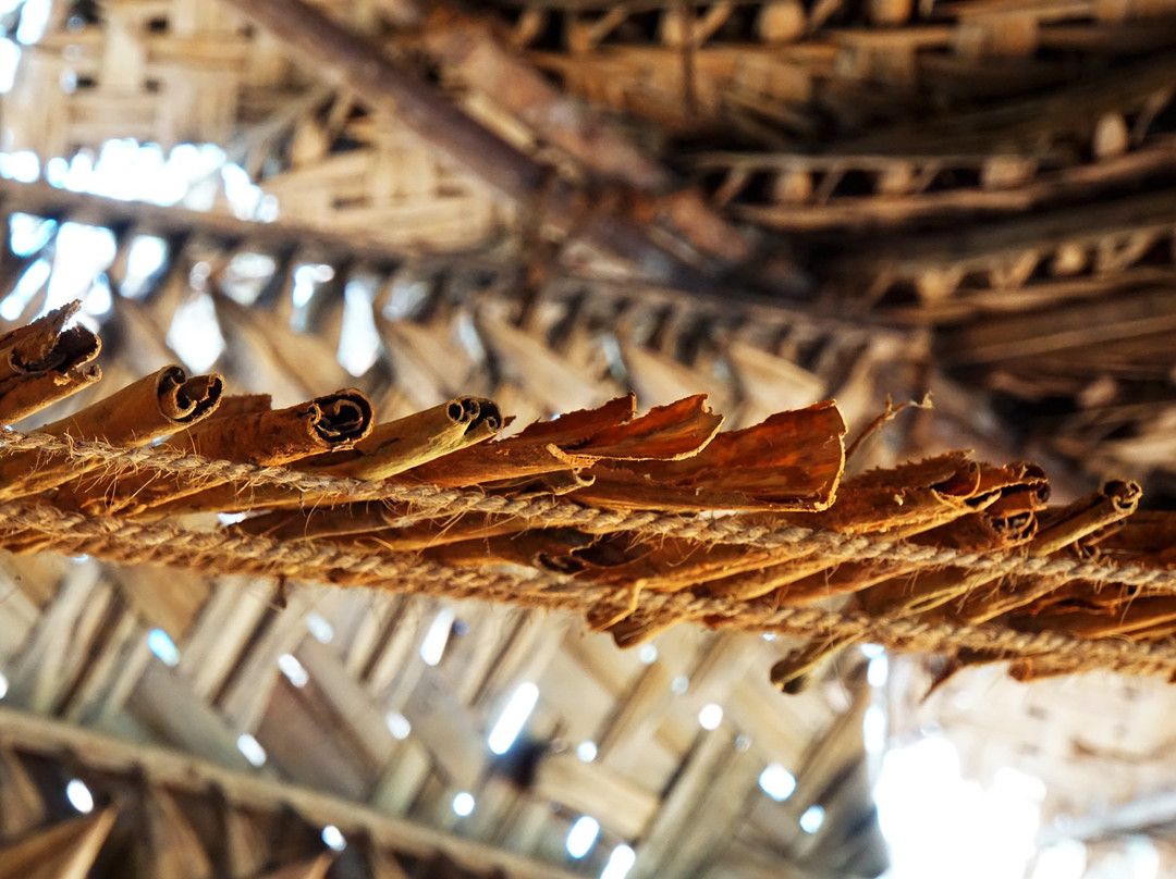 Ajith Private Tours-希克杜沃必去景点