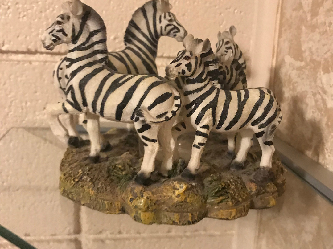 Safari Inn Motel主图