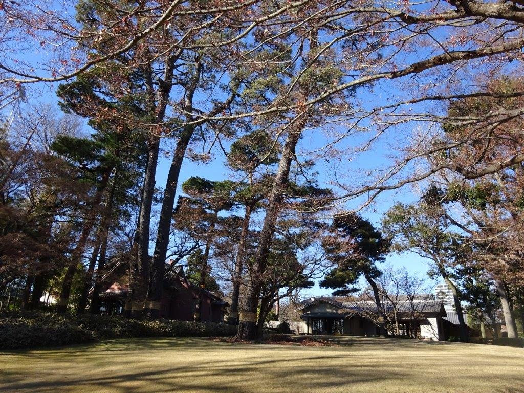 Ootaguro Park-Ogikubo必去景点