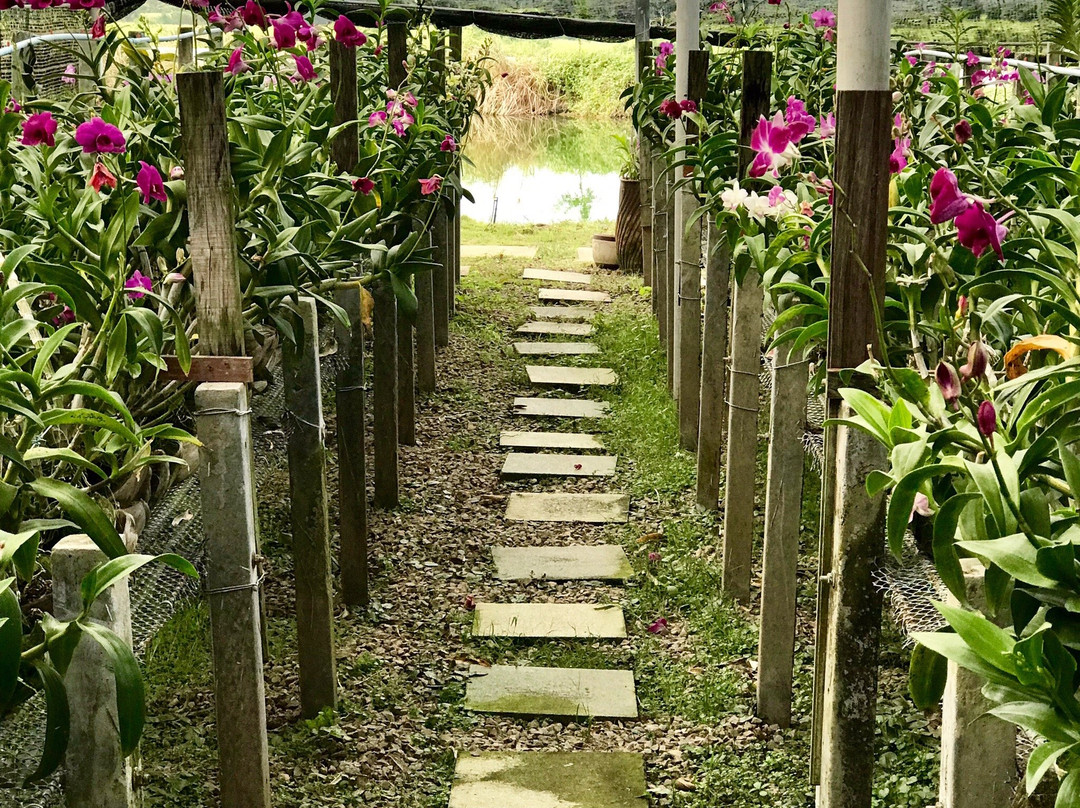 Baan Souchada Resort & Spa主图