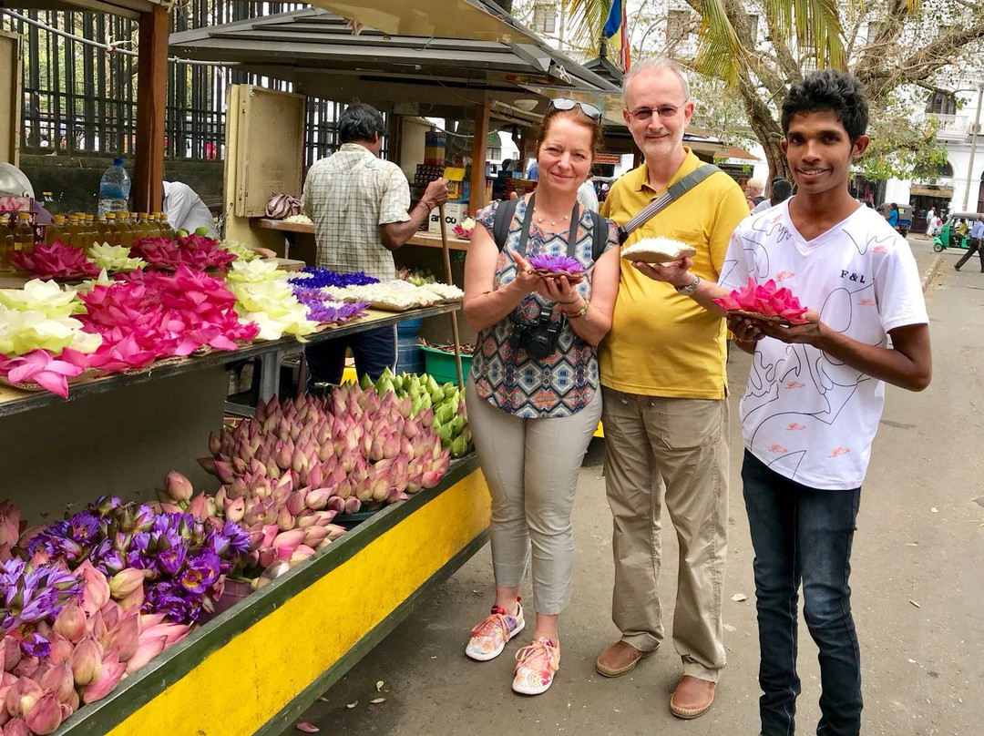 Car with Private Driver Sri Lanka-Hambantota必去景点