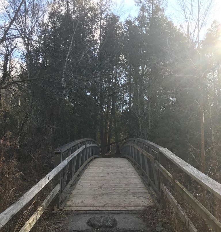 Heber Down Conservation Area-Whitby必去景点