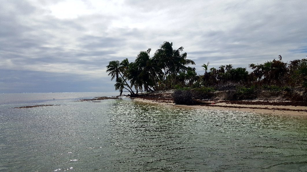Parque Nacional de Arrecifes-Xcalak必去景点