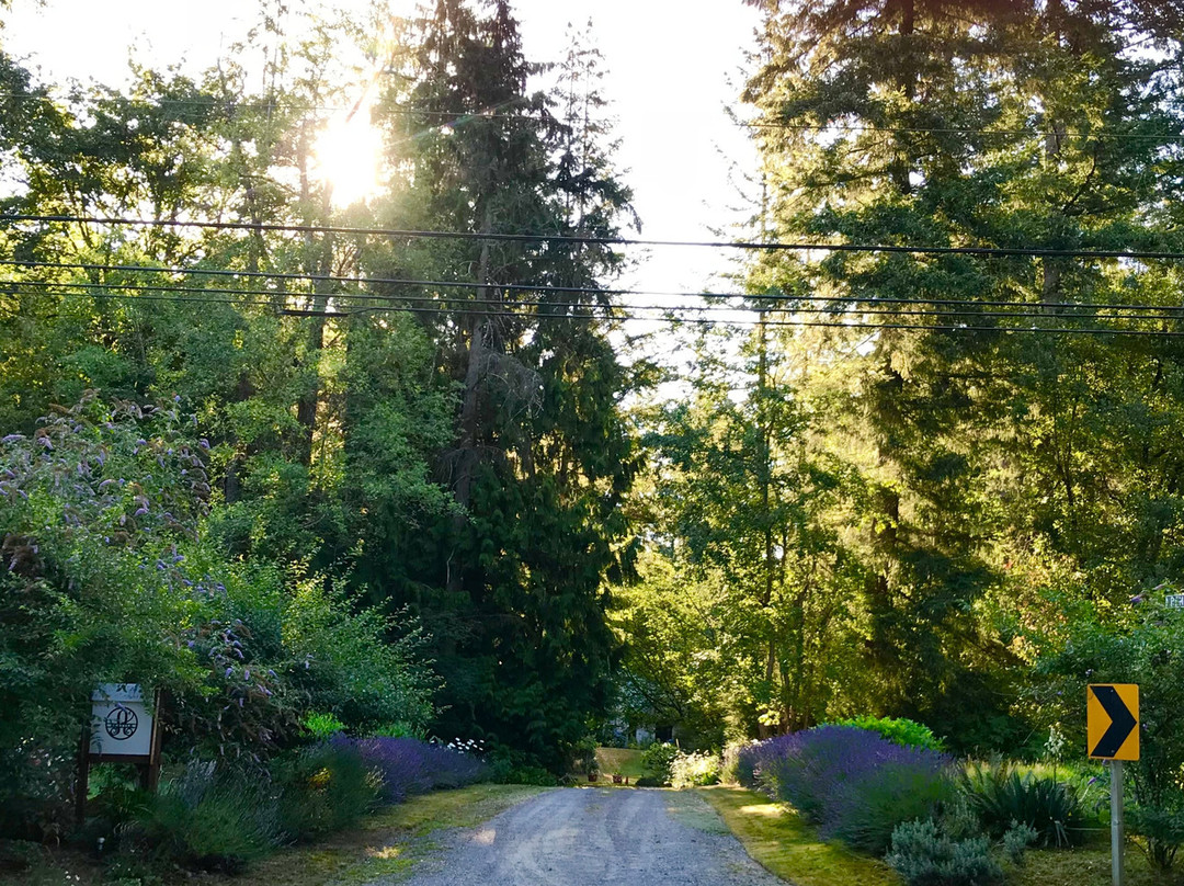 Auberge de Seattle, French Country Inn主图