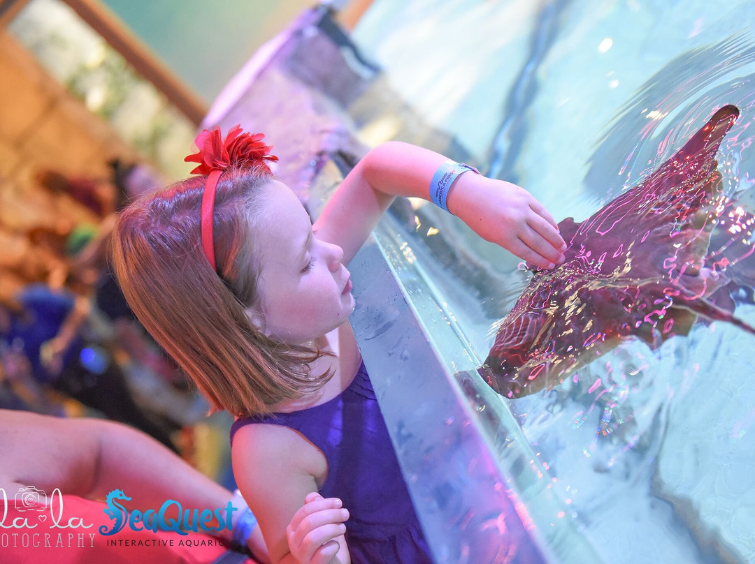 NorCal Aquarium & Wildlife-佛森必去景点