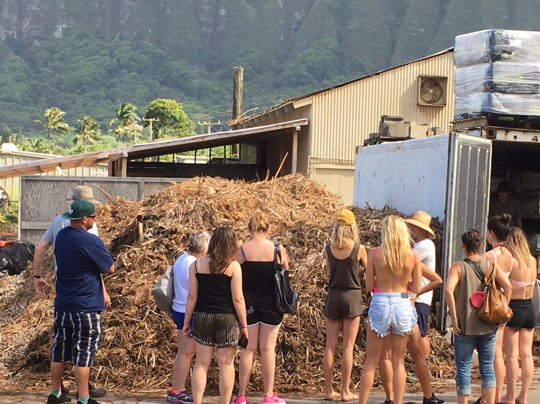 Small Kine Farm-威玛纳诺必去景点