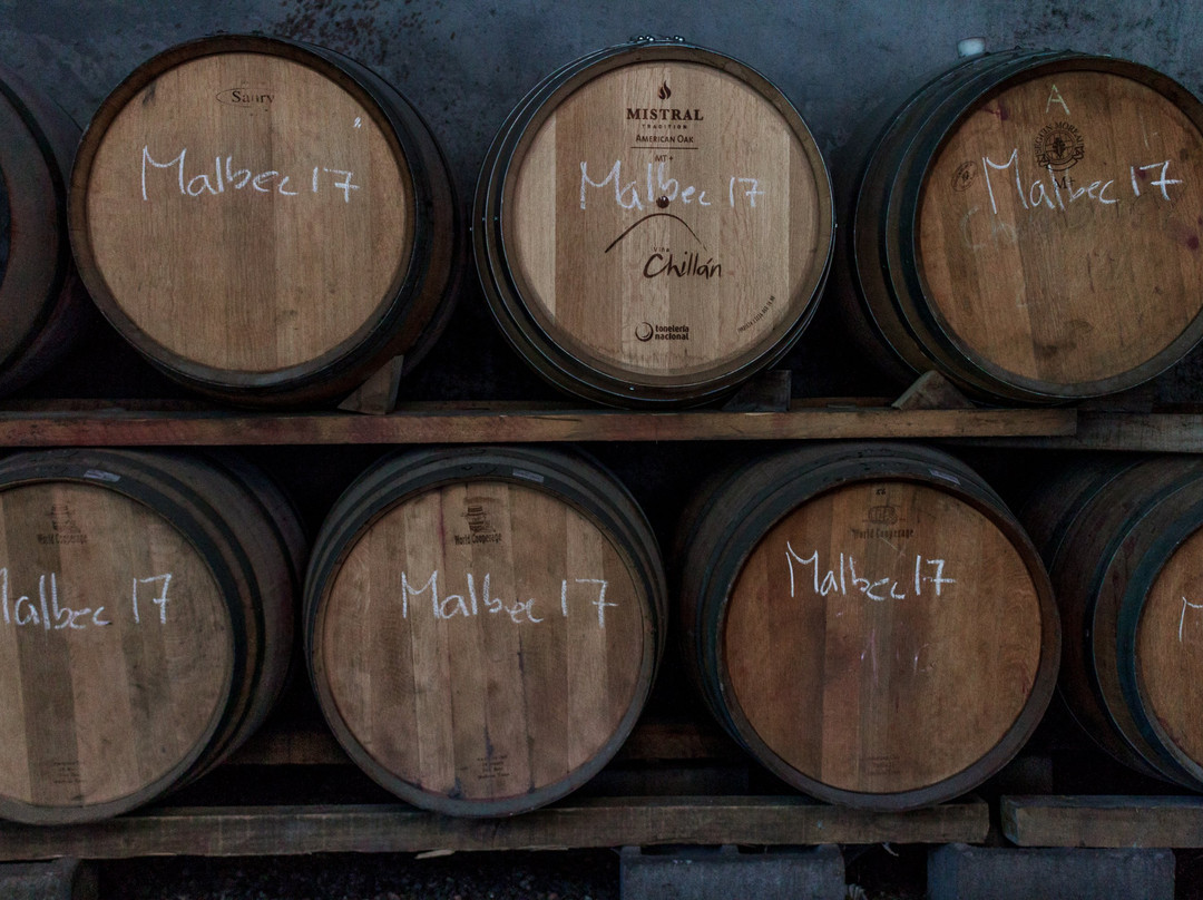 Hotel Viña Chillàn主图