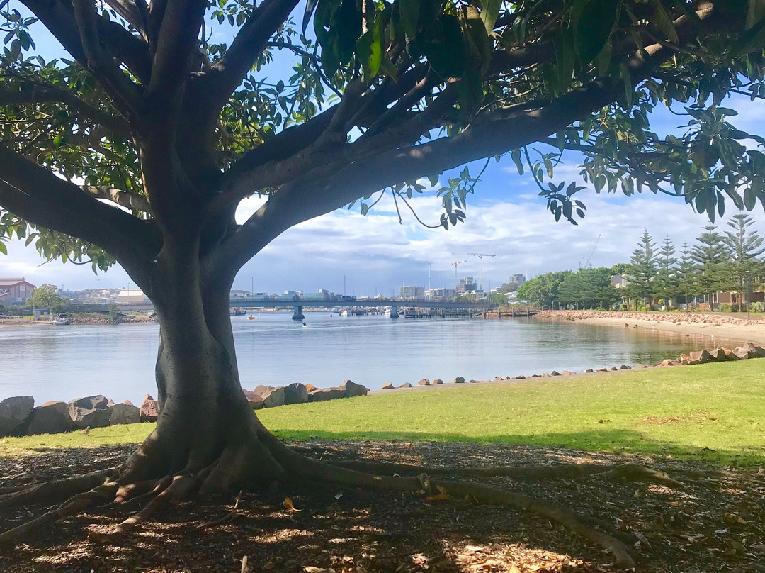 Honeysuckle Reserve-纽卡斯尔必去景点