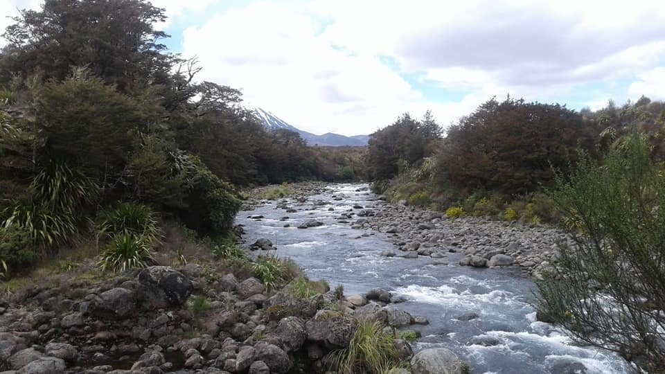 Waimarino Mountain Shuttles景点图片