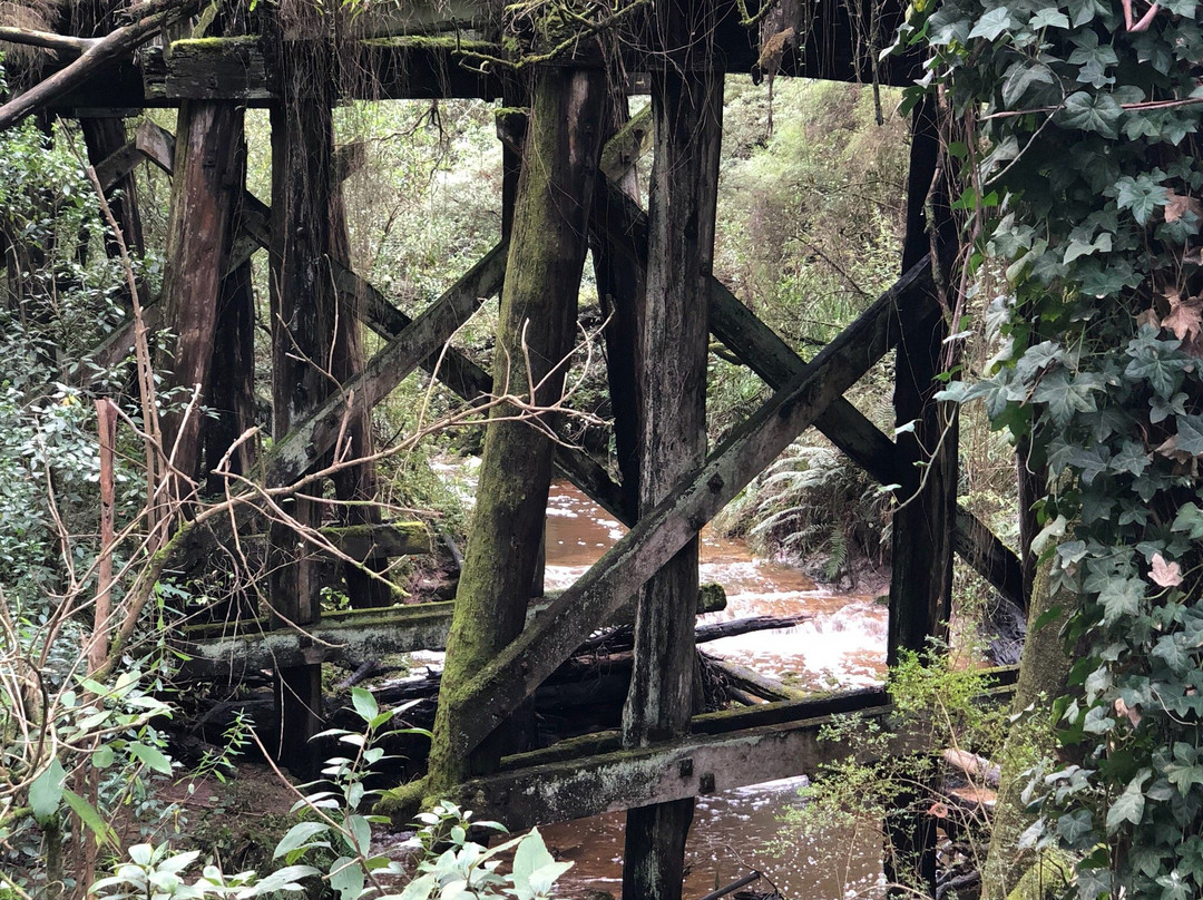 廷布恩旅游景点-Timboon Rail Trestle Bridge