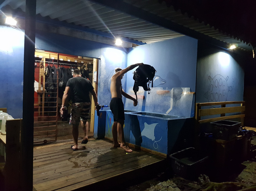 Dive'n Curacao-Sabana Westpunt必去景点