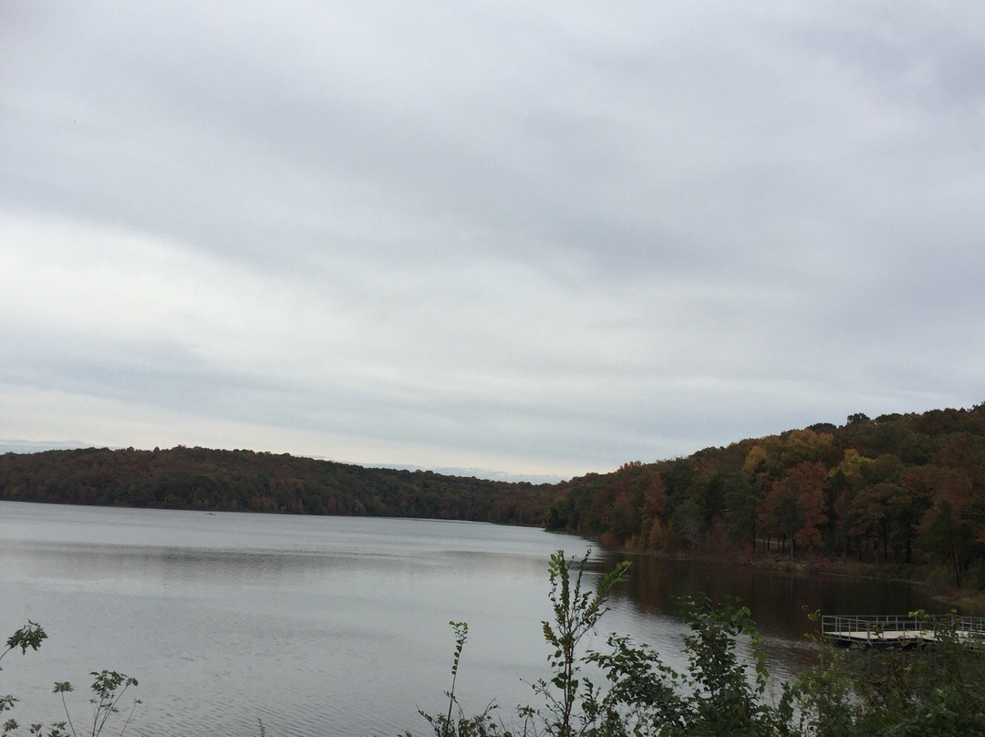 Lake Alma Hiking Trail-Alma必去景点