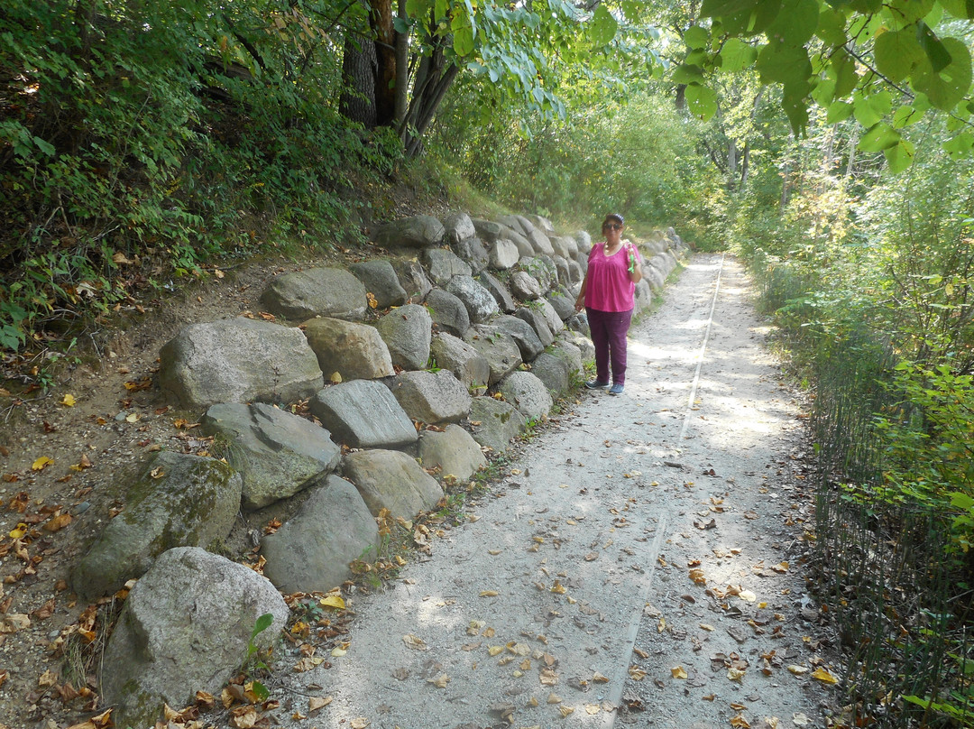 Brighton Recreation Area-Howell必去景点