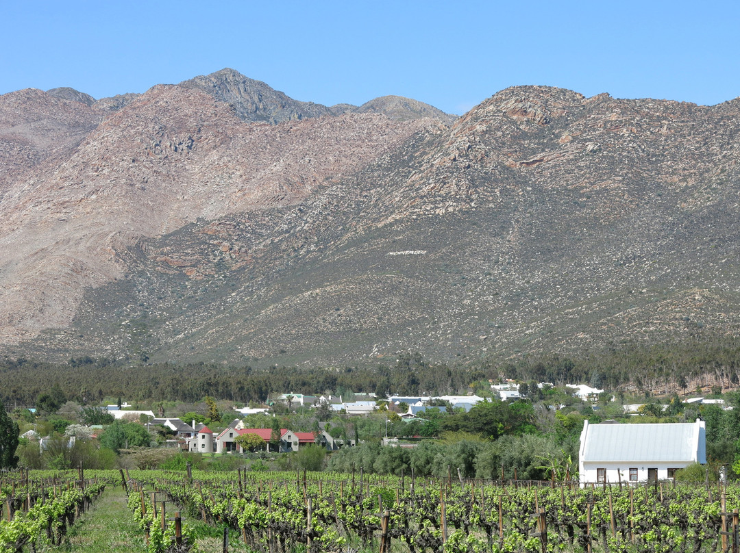 Montagu Village Market-蒙提古必去景点