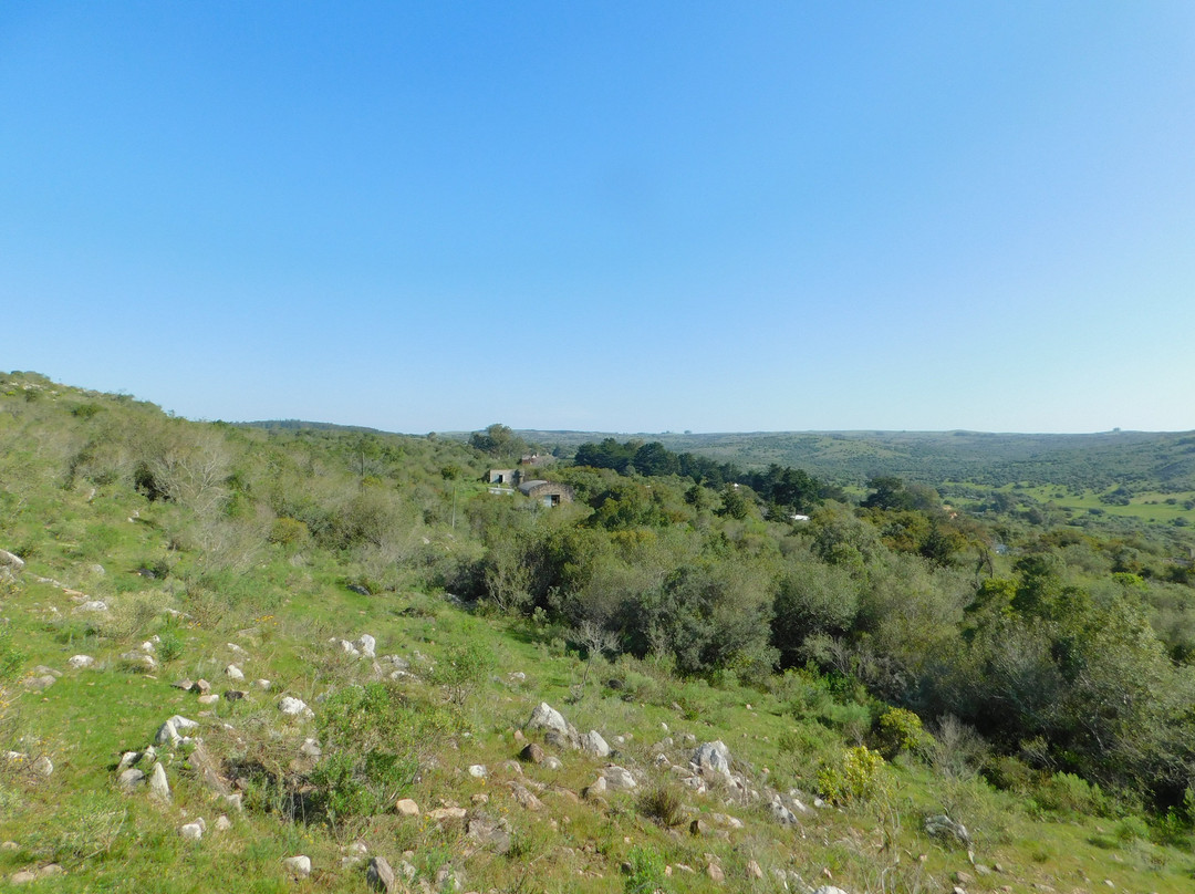 La Calaguala Hostel主图