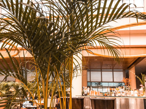 新加坡丽思卡尔顿美年酒店主图