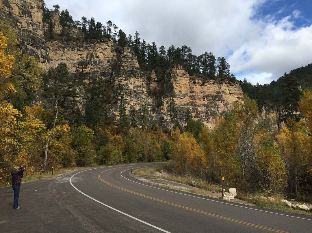 Spearfish Canyon景点图片