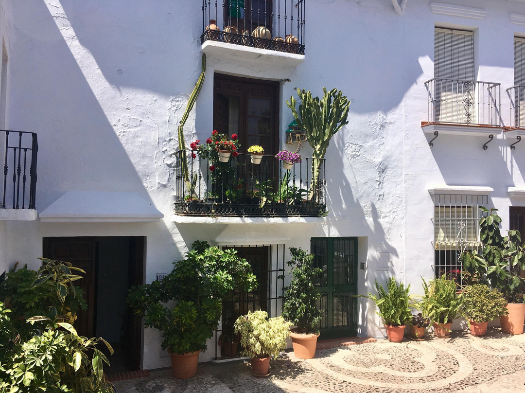 Malaga Private Day Trips景点图片