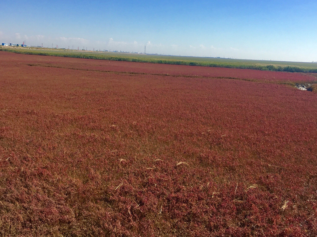 盘锦湖滨公园-盘锦市必去景点