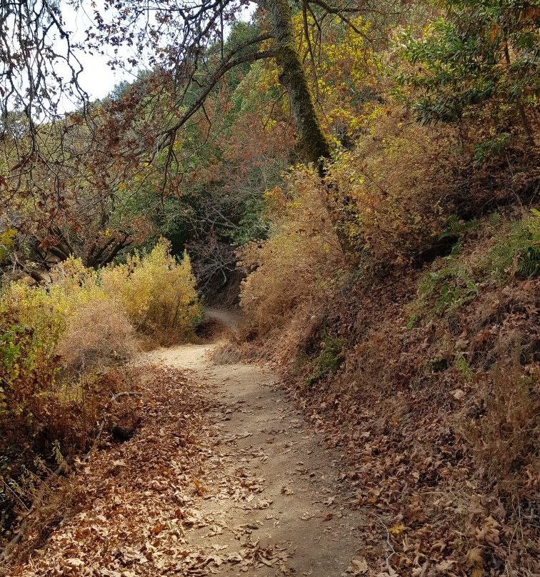Castle Ridge Trail-普莱森顿必去景点