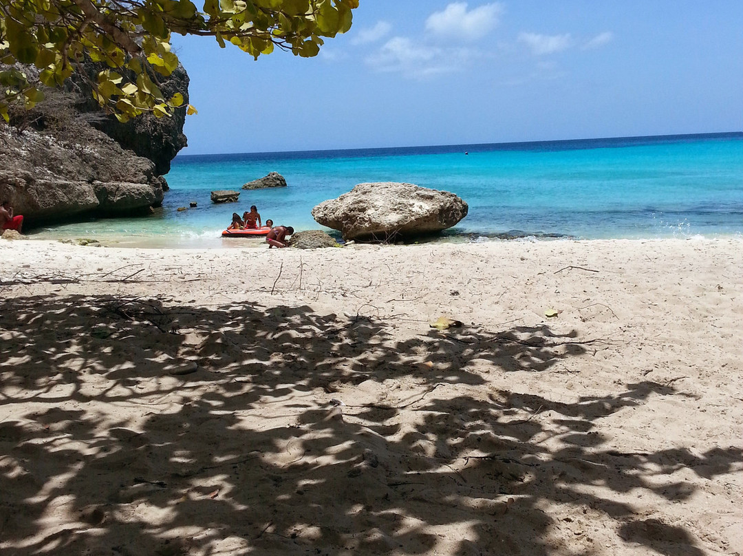 DCTA Taxi & Tour Services-威廉斯塔德必去景点