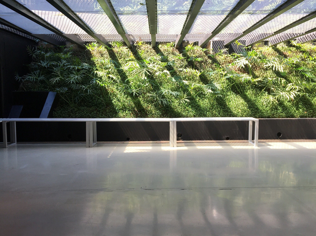 Espaço Cultural Porto Seguro-圣保罗必去景点