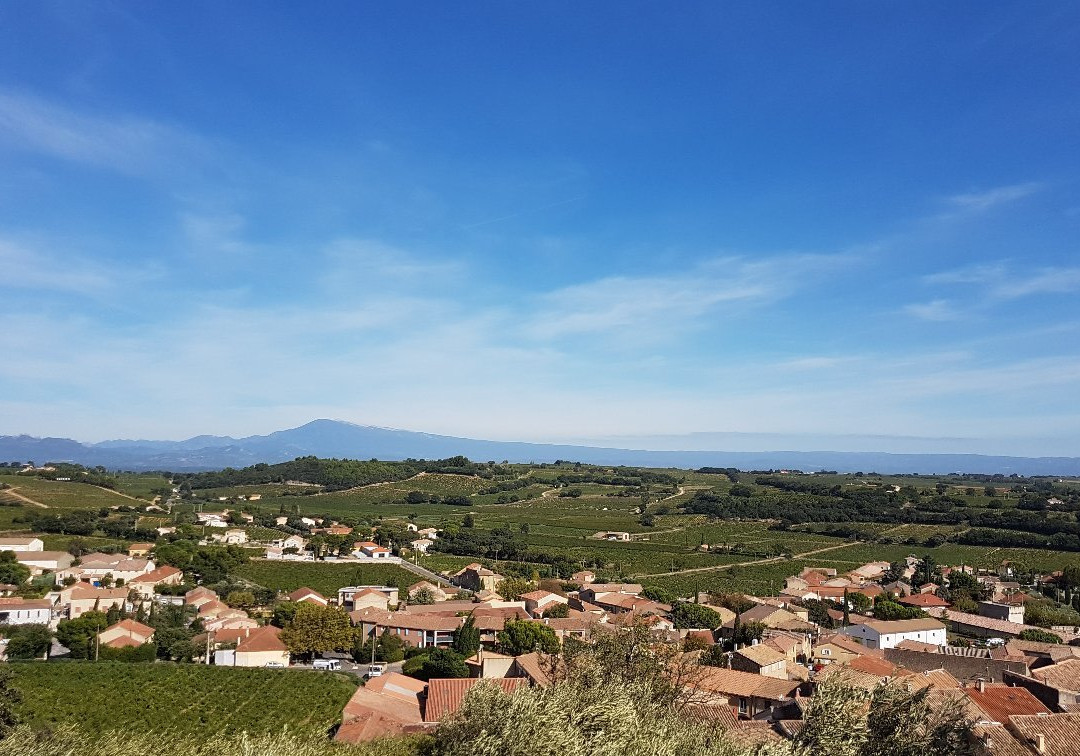 Domaine du Père Caboche景点图片
