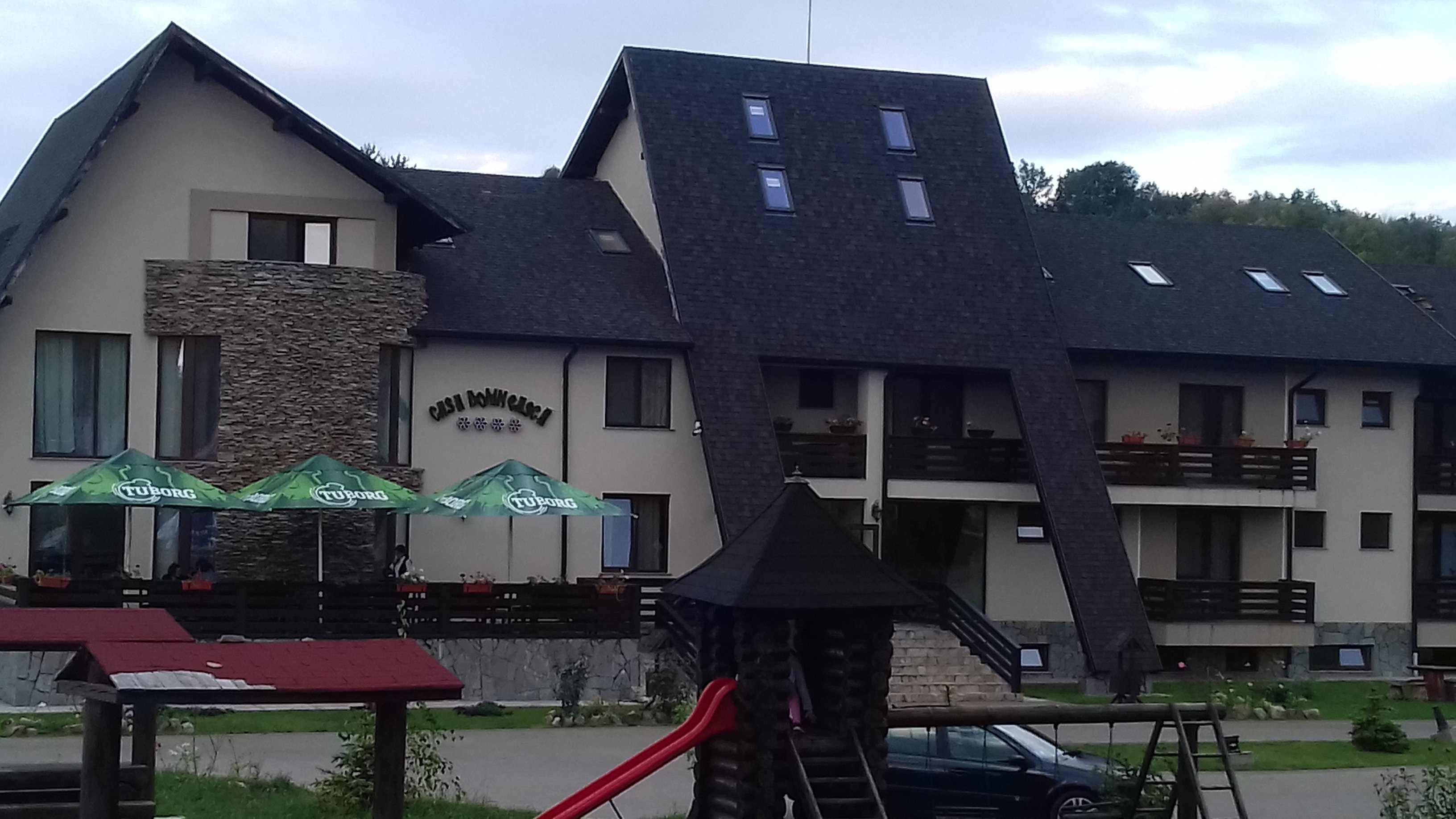 Casa Domneasca-餐饮