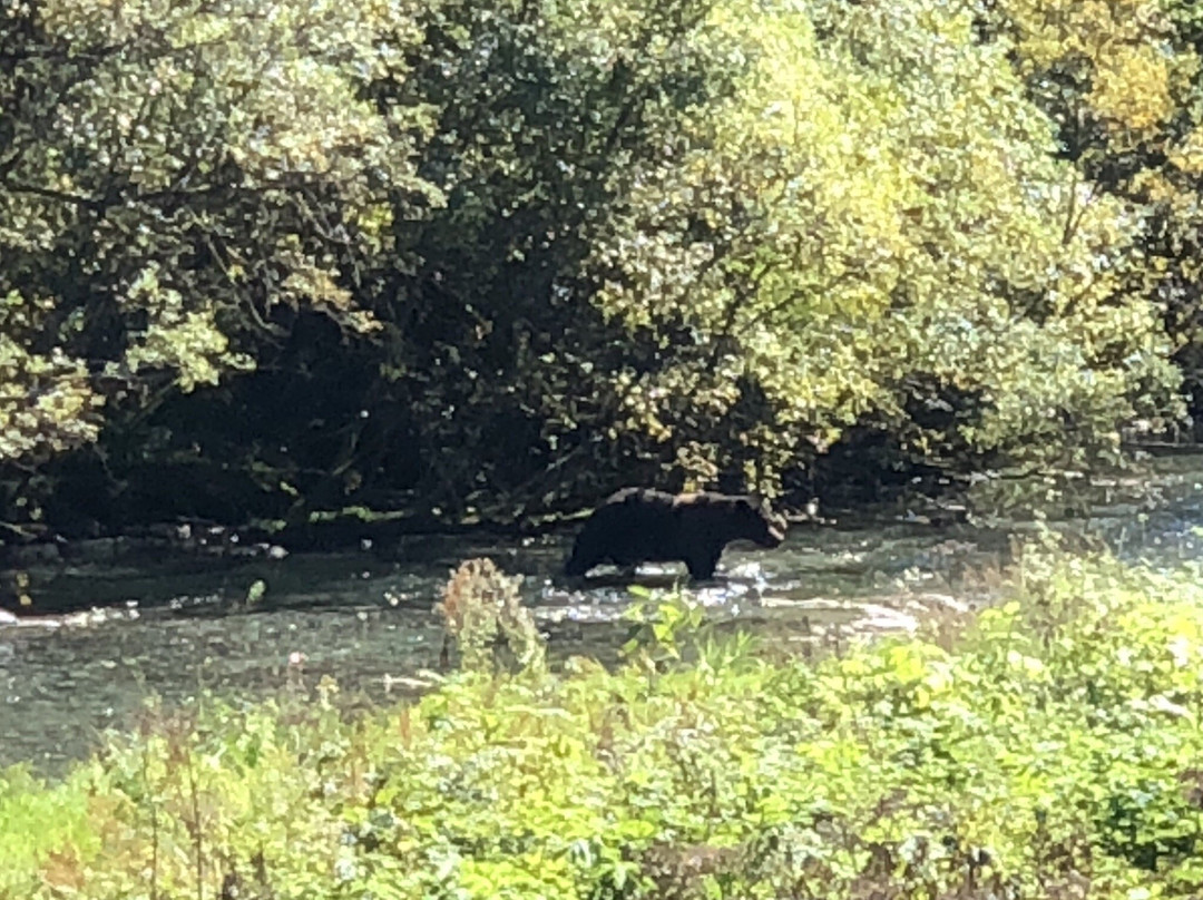 Bear Valley Guesthouse主图