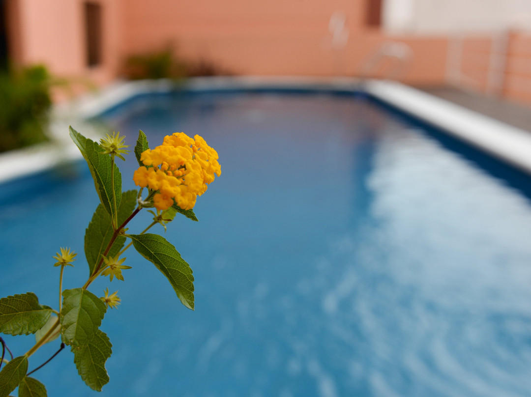 Hotel Santiago主图