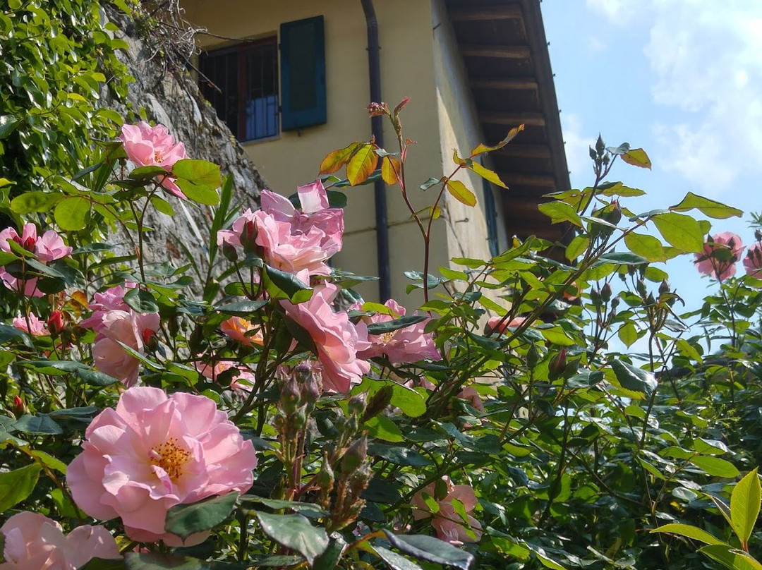 Biblioteca Comunale Antonia Pozzi-Laveno-Mombello必去景点