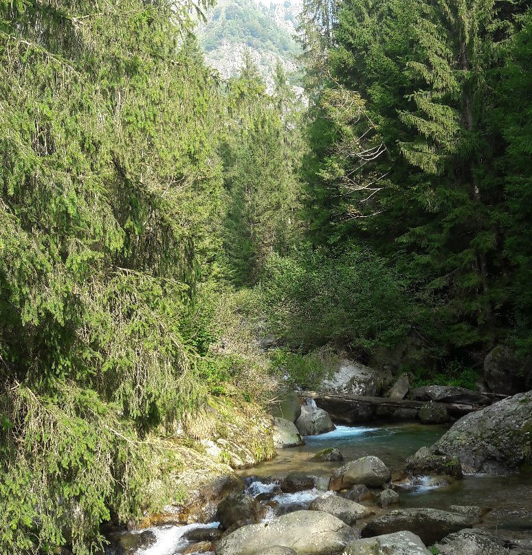 Val Sanguigno-Valgoglio必去景点