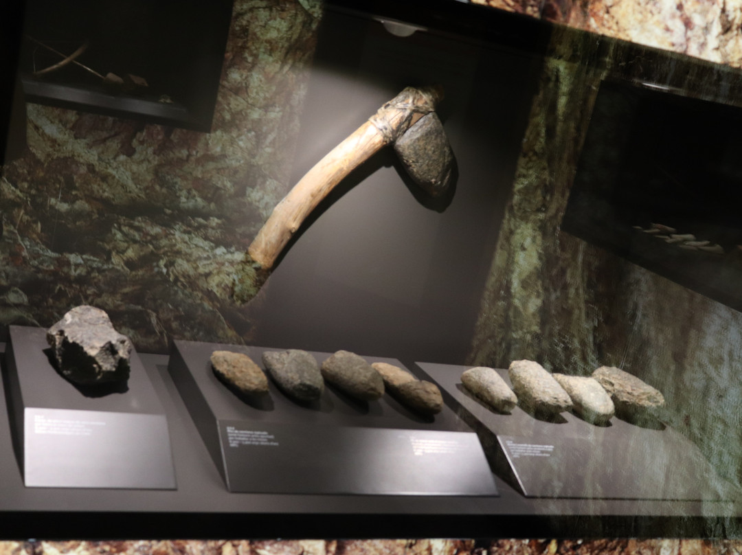 Museu de Gavà-加瓦必去景点