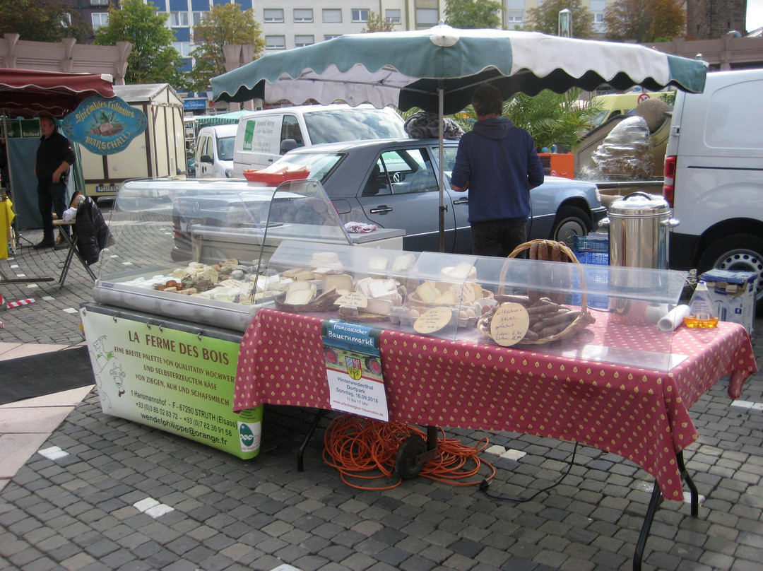 Deutsch-französischer Wochenmarkt-Pirmasens必去景点