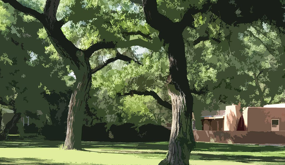 Morning Star Bed & Breakfast Of Corrales主图