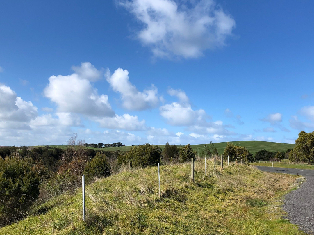 Anderson to San Remo Shared Pathway景点图片