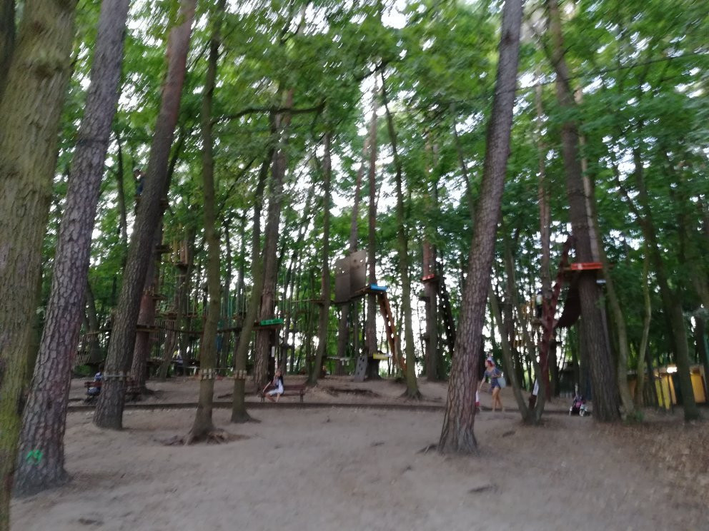 Tarzania High Rope Park景点图片