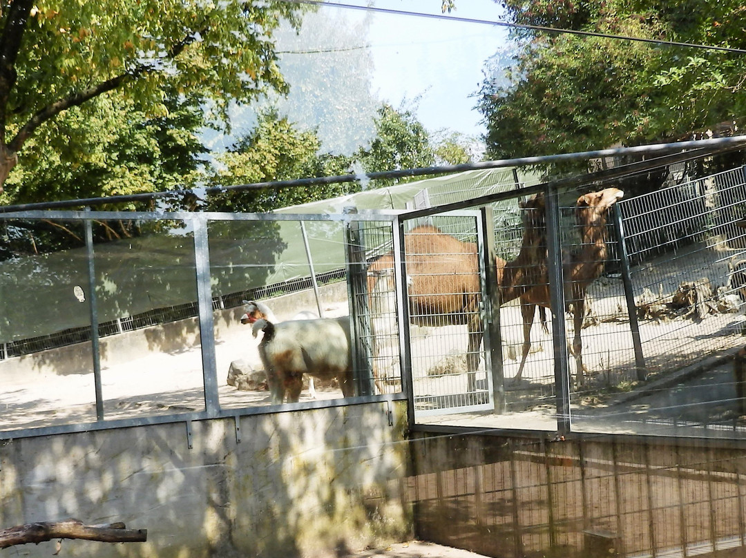 Tierpark景点图片