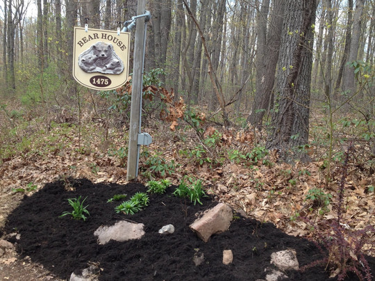 Bear House B&B主图