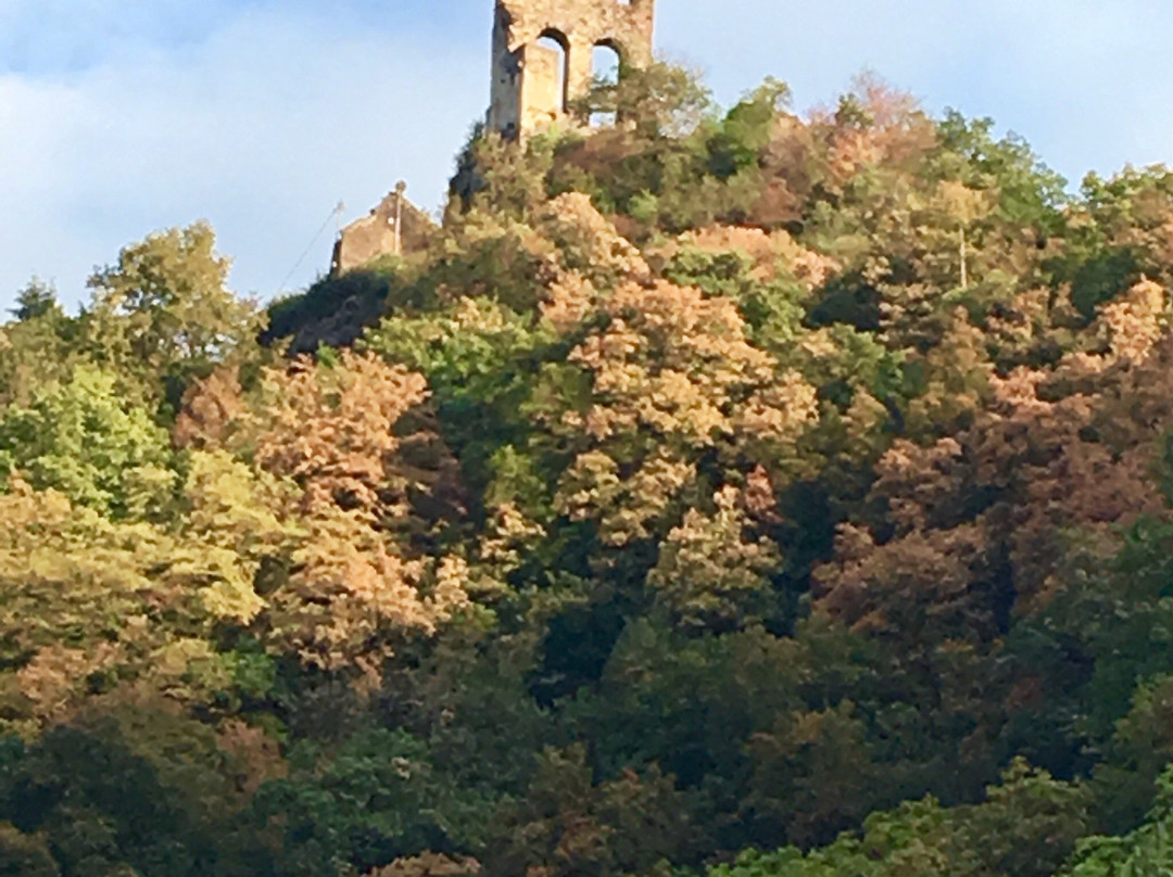Grevenburg Castle景点图片