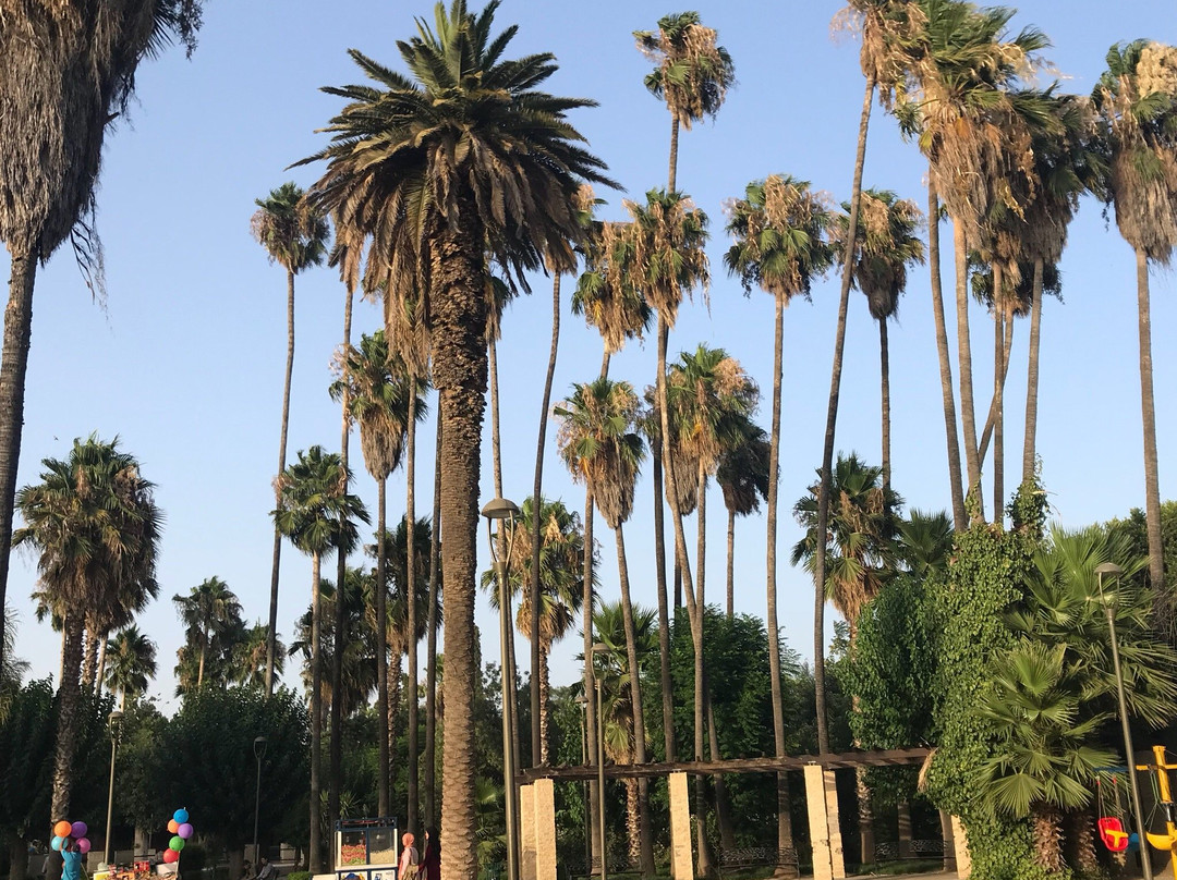 Lac de la Ville de Oued Zem-Khouribga必去景点