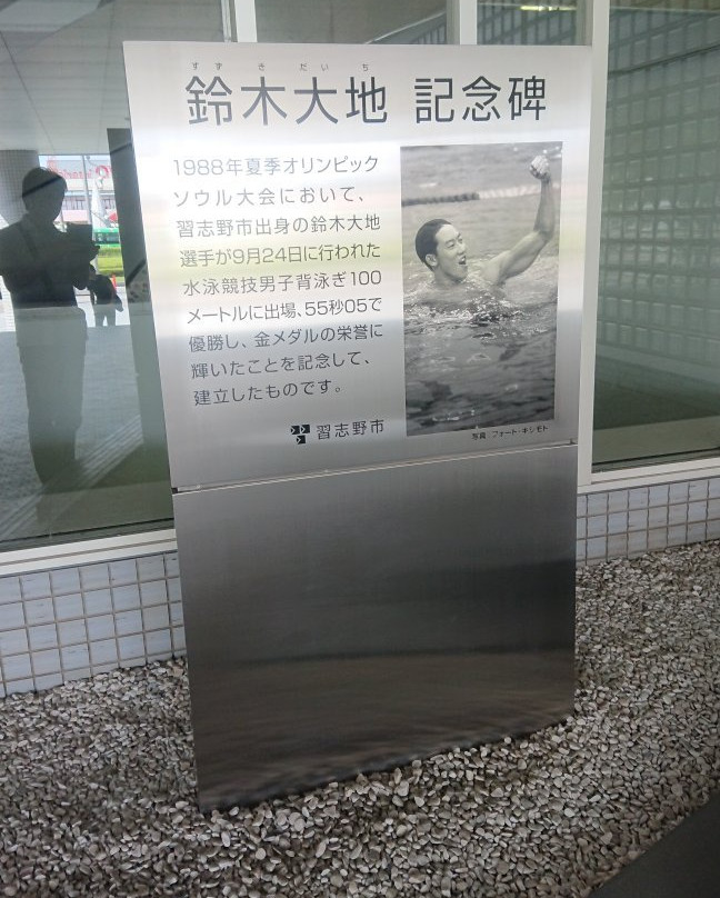 Chiba International Swimming Pool-习志野市必去景点