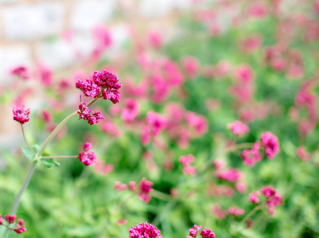 Huntsmill Farm主图