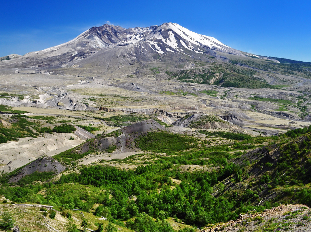Mt St Helens Helicopter Tours景点图片