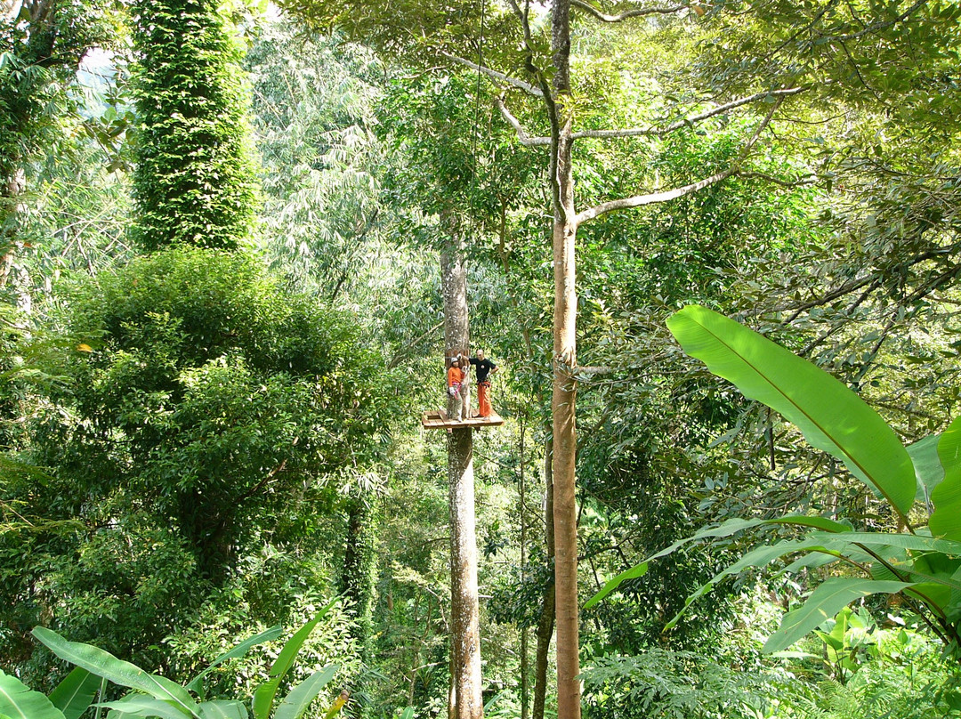 Cable Jungle Adventure景点图片