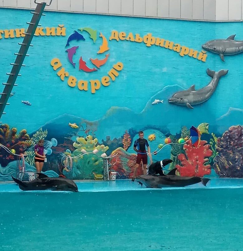 Dolphinarium Akvarel-阿卢什塔必去景点