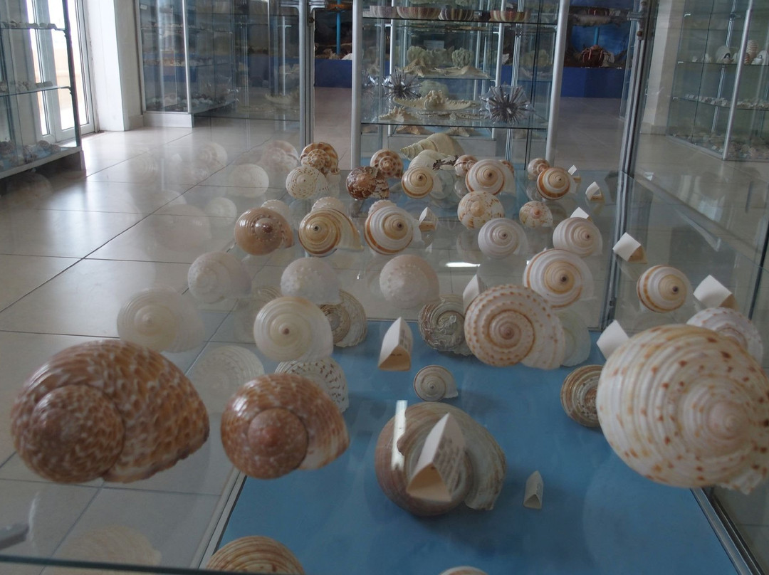 Corfu Shell Museum-科孚必去景点